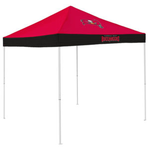 Get your Tampa Bay Buccaneers canopy tent on amazon now! Click image to buy.